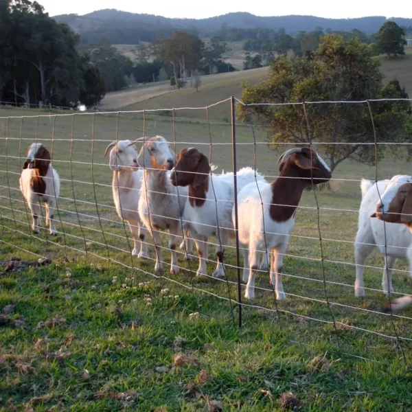 Electric Fence Netting for Sheep, Goats, Cows, Horses - Image 6